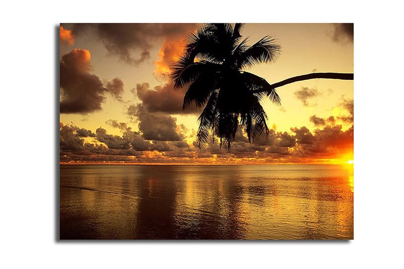 Dekorativ Canvasbilde 28x38 cm - Flerfarget - Interiør - Maleri & posters - Lerretsbilder