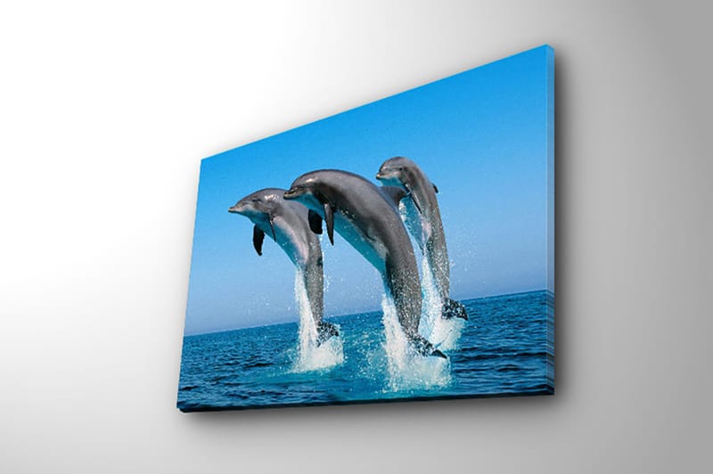 Dekorativ Canvasbilde 28x38 cm - Flerfarget - Interiør - Maleri & posters - Lerretsbilder