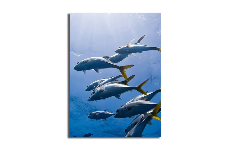 Dekorativ Canvasbilde 28x38 cm - Flerfarget - Interiør - Maleri & posters - Lerretsbilder
