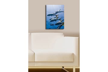 Dekorativ Canvasbilde 28x38 cm - Flerfarget - Interiør - Maleri & posters - Lerretsbilder