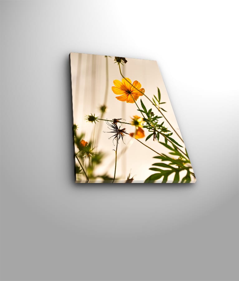 Dekorativ Canvasbilde 28x38 cm - Flerfarget - Interiør - Maleri & posters - Lerretsbilder