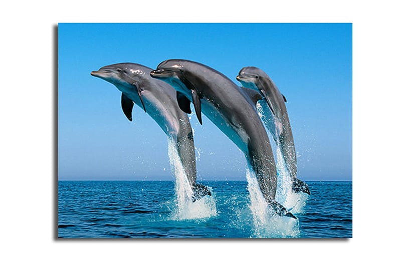 Dekorativ Canvasbilde 28x38 cm, Flerfarget