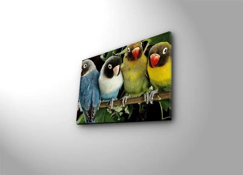 Dekorativ Canvasbilde 28x38 cm, Flerfarget