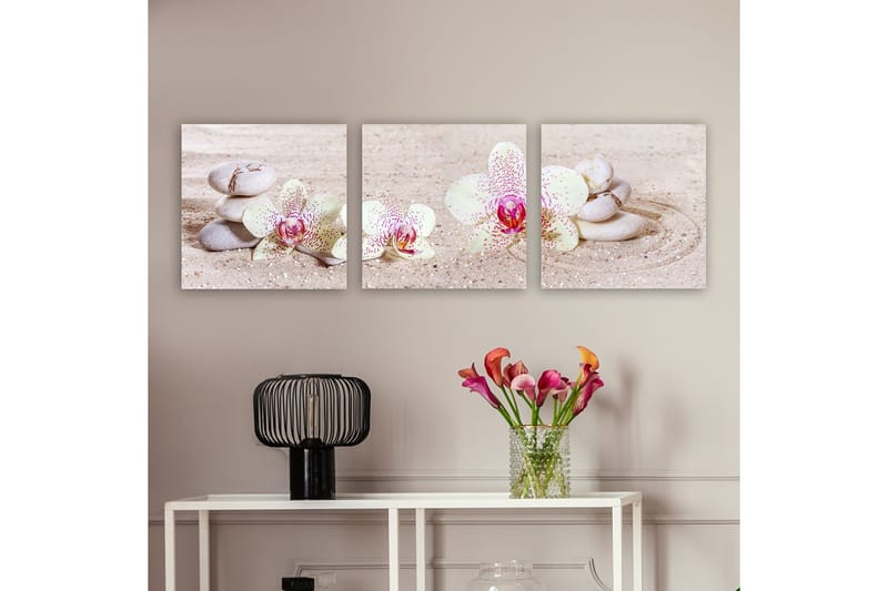 Dekorativ Canvasbilde 3-Deler 30x30 cm, Flerfarget