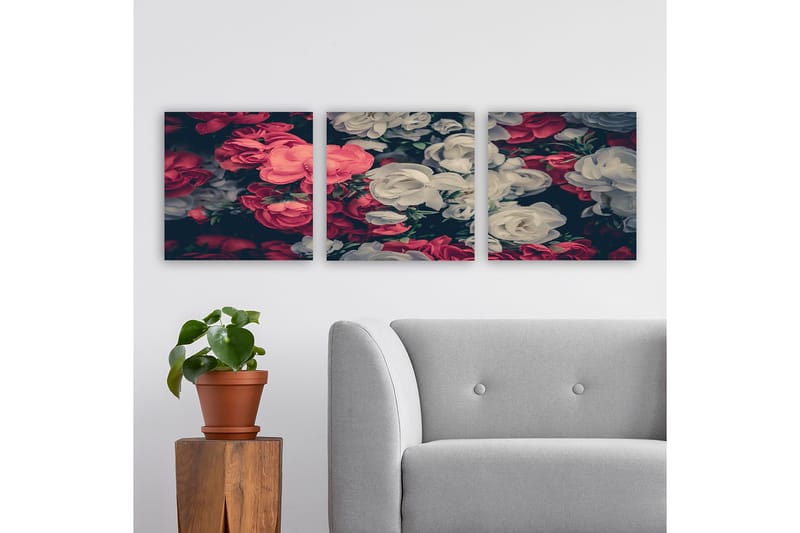 Dekorativ Canvasbilde 3-Deler 30x30 cm, Flerfarget