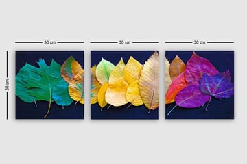 Dekorativ Canvasbilde 3-Deler 30x30 cm - Flerfarget - Interiør - Maleri & posters - Lerretsbilder