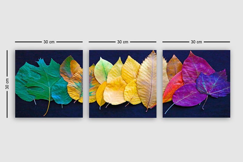 Dekorativ Canvasbilde 3-Deler 30x30 cm - Flerfarget - Interiør - Maleri & posters - Lerretsbilder