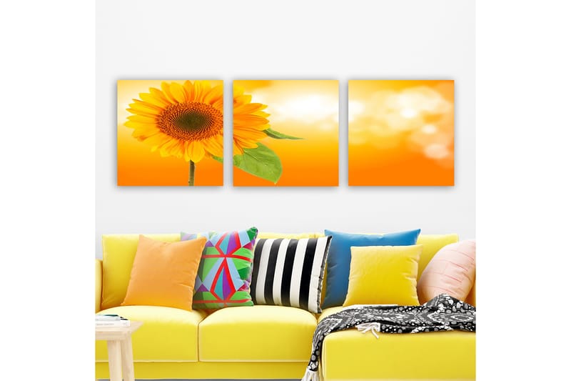 Dekorativ Canvasbilde 3-Deler 30x30 cm - Flerfarget - Interiør - Maleri & posters - Lerretsbilder