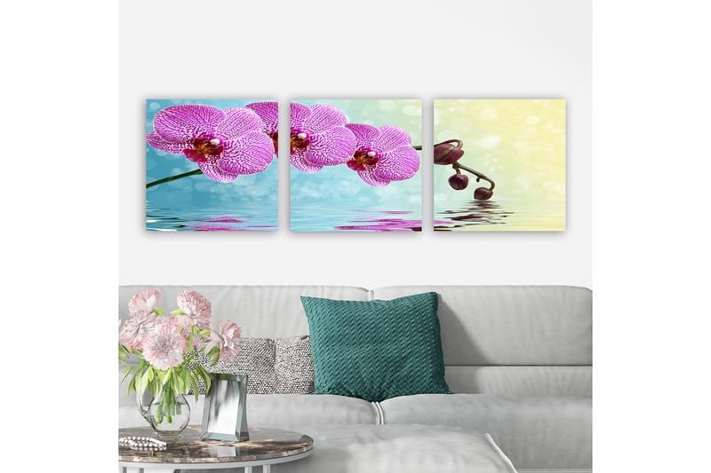 Dekorativ Canvasbilde 3-Deler 30x30 cm - Flerfarget - Interiør - Maleri & posters - Lerretsbilder