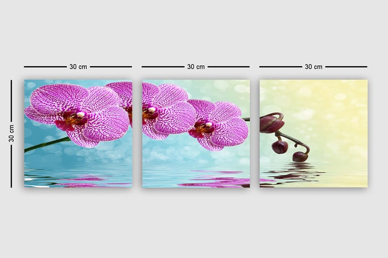 Dekorativ Canvasbilde 3-Deler 30x30 cm - Flerfarget - Interiør - Maleri & posters - Lerretsbilder
