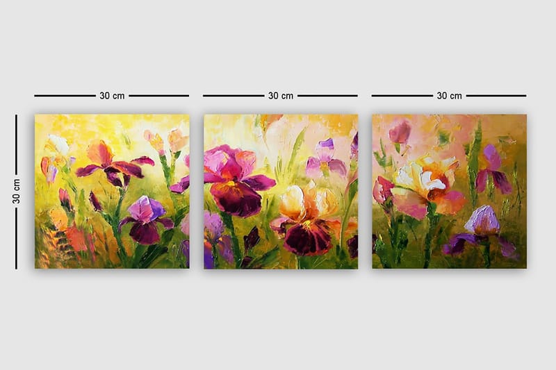 Dekorativ Canvasbilde 3-Deler 30x30 cm - Flerfarget - Interiør - Maleri & posters - Lerretsbilder