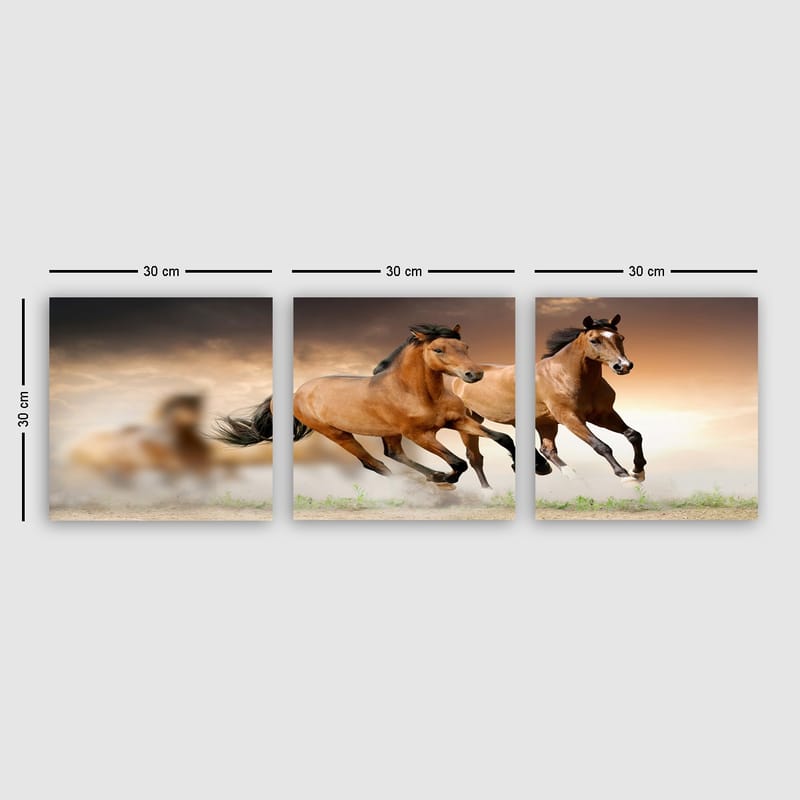Dekorativ Canvasbilde 3-Deler 30x30 cm - Flerfarget - Interiør - Maleri & posters - Lerretsbilder