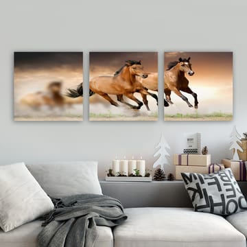 Dekorativ Canvasbilde 3-Deler 30x30 cm - Flerfarget - Interiør - Maleri & posters - Lerretsbilder