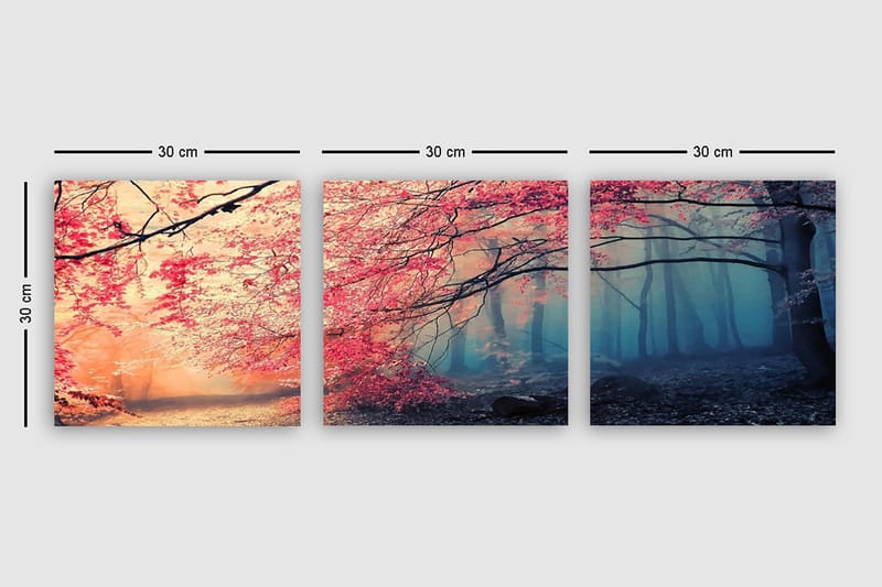 Dekorativ Canvasbilde 3-Deler 30x30 cm - Flerfarget - Interiør - Maleri & posters - Lerretsbilder