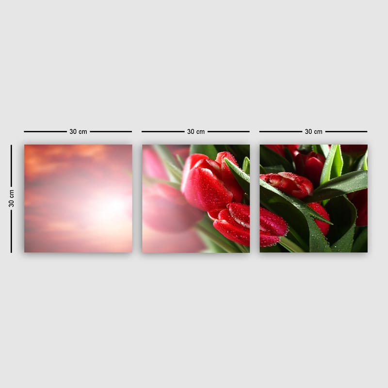 Dekorativ Canvasbilde 3-Deler 30x30 cm - Flerfarget - Interiør - Maleri & posters - Lerretsbilder