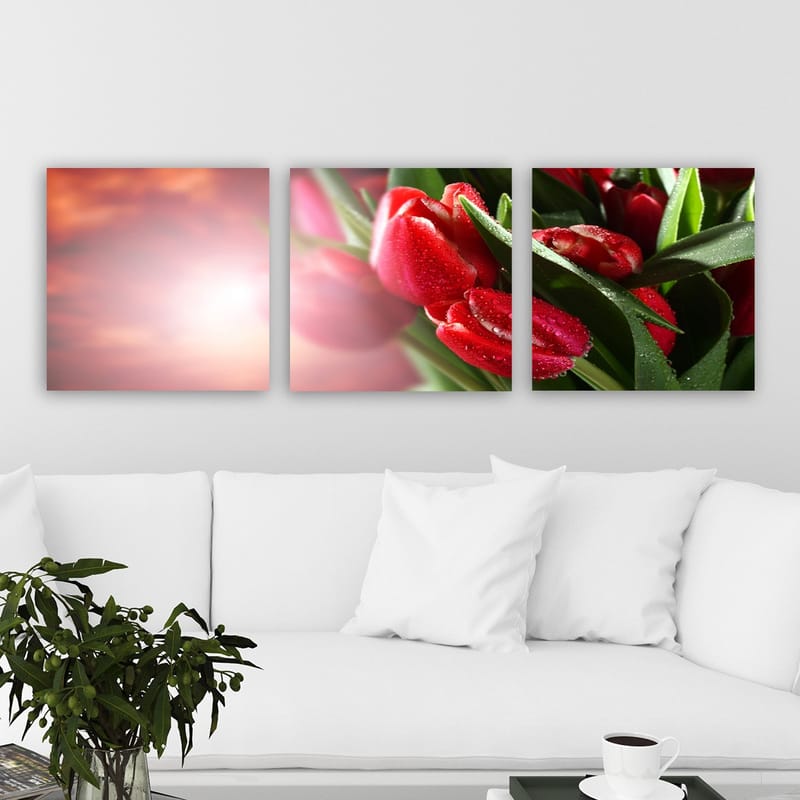 Dekorativ Canvasbilde 3-Deler 30x30 cm - Flerfarget - Interiør - Maleri & posters - Lerretsbilder