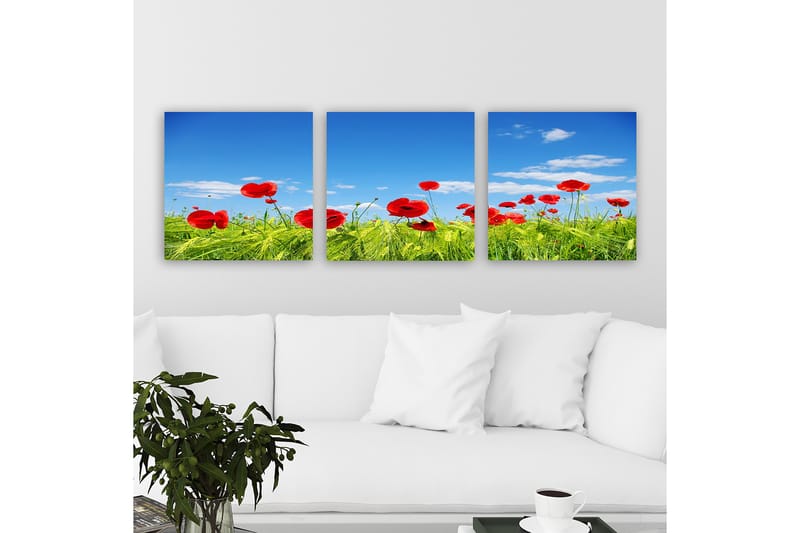 Dekorativ Canvasbilde 3-Deler 30x30 cm - Flerfarget - Interiør - Maleri & posters - Lerretsbilder