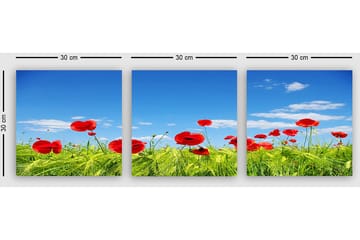 Dekorativ Canvasbilde 3-Deler 30x30 cm - Flerfarget - Interiør - Maleri & posters - Lerretsbilder