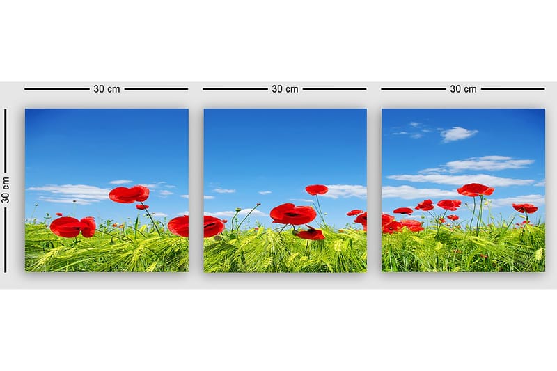 Dekorativ Canvasbilde 3-Deler 30x30 cm - Flerfarget - Interiør - Maleri & posters - Lerretsbilder