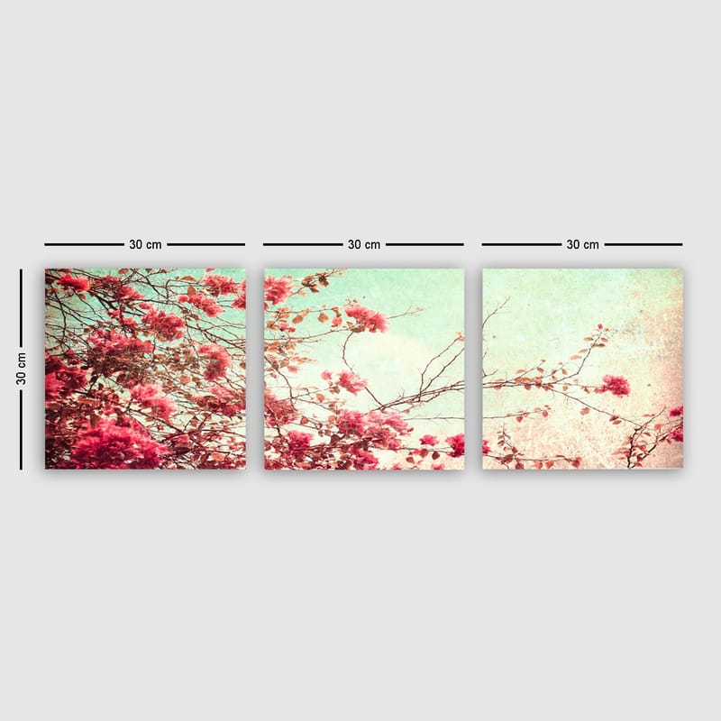 Dekorativ Canvasbilde 3-Deler 30x30 cm - Flerfarget - Interiør - Maleri & posters - Lerretsbilder