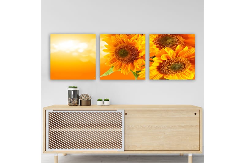 Dekorativ Canvasbilde 3-Deler 30x30 cm - Flerfarget - Interiør - Maleri & posters - Lerretsbilder