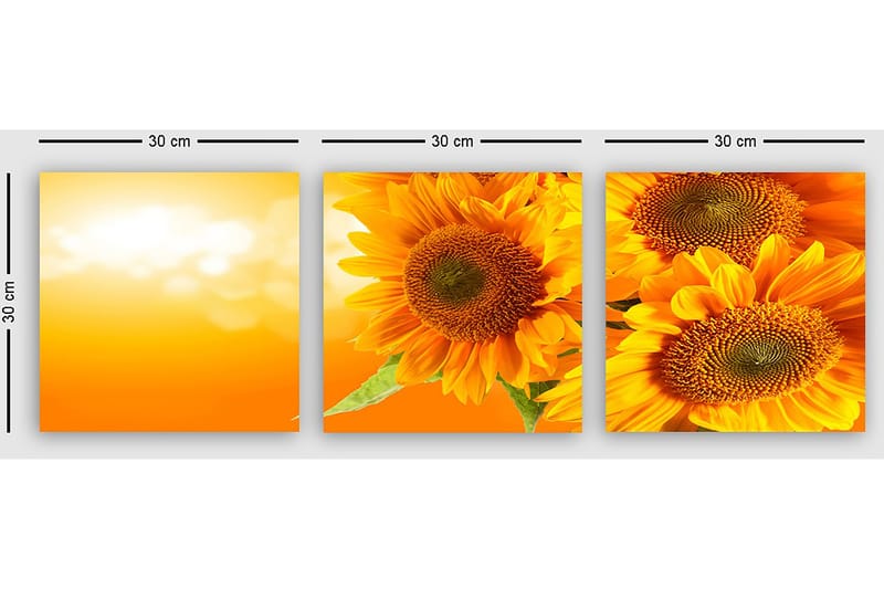 Dekorativ Canvasbilde 3-Deler 30x30 cm - Flerfarget - Interiør - Maleri & posters - Lerretsbilder