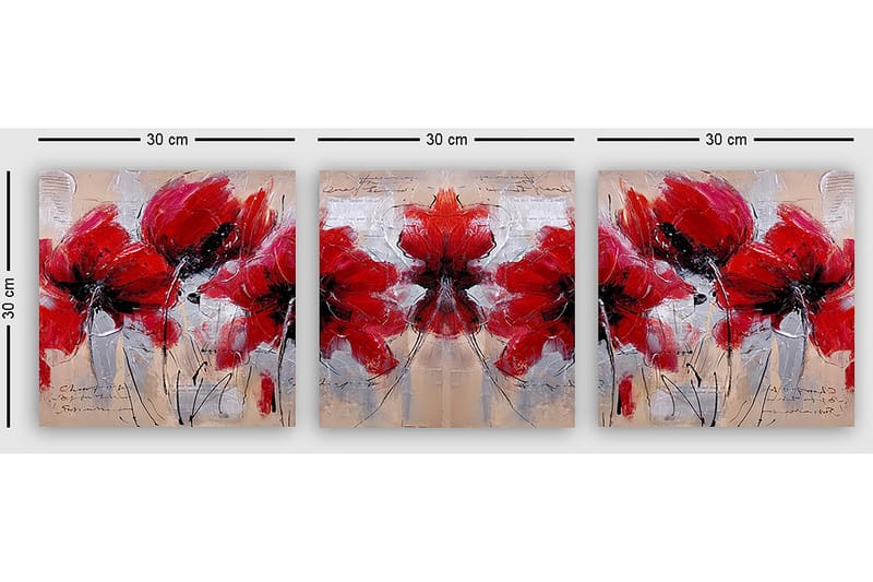 Dekorativ Canvasbilde 3-Deler 30x30 cm - Flerfarget - Interiør - Maleri & posters - Lerretsbilder
