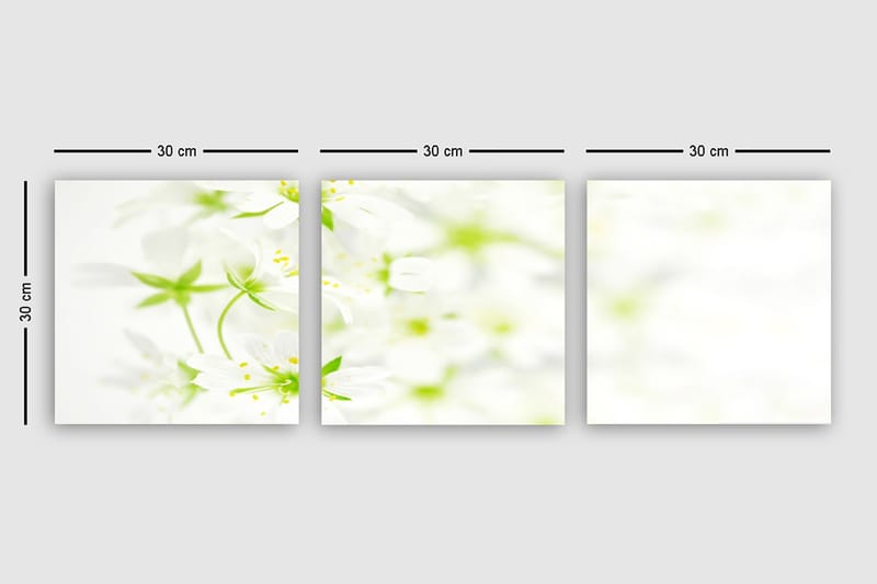 Dekorativ Canvasbilde 3-Deler 30x30 cm - Flerfarget - Interiør - Maleri & posters - Lerretsbilder