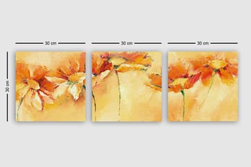 Dekorativ Canvasbilde 3-Deler 30x30 cm - Flerfarget - Interiør - Maleri & posters - Lerretsbilder