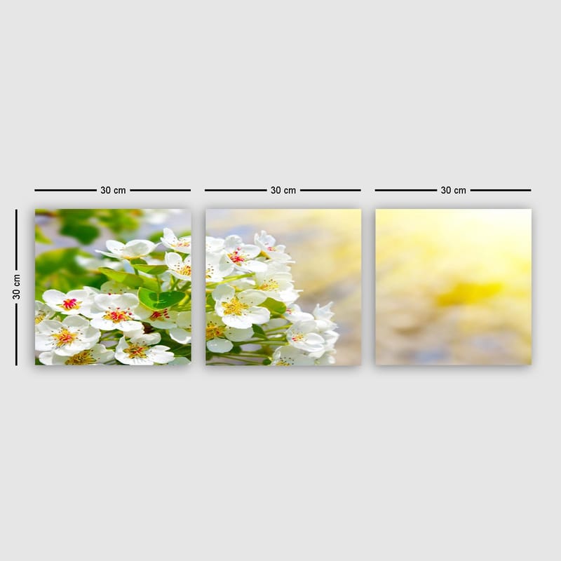 Dekorativ Canvasbilde 3-Deler 30x30 cm - Flerfarget - Interiør - Maleri & posters - Lerretsbilder