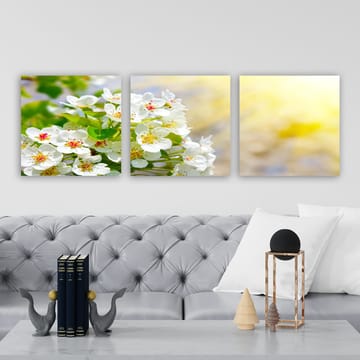 Dekorativ Canvasbilde 3-Deler 30x30 cm - Flerfarget - Interiør - Maleri & posters - Lerretsbilder