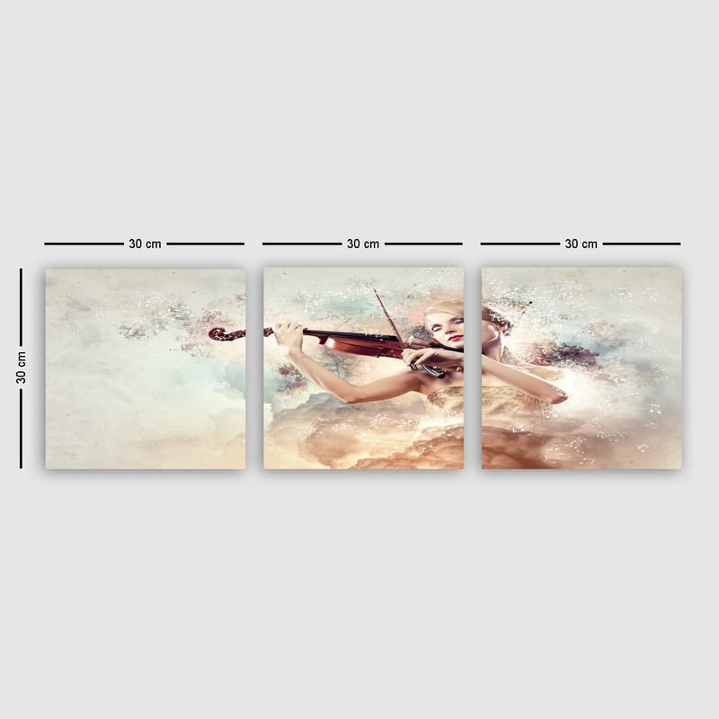 Dekorativ Canvasbilde 3-Deler 30x30 cm - Flerfarget - Interiør - Maleri & posters - Lerretsbilder