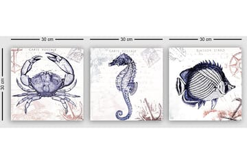 Dekorativ Canvasbilde 3-Deler 30x30 cm - Flerfarget - Interiør - Maleri & posters - Lerretsbilder