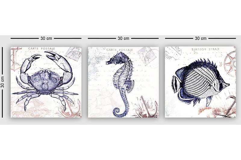 Dekorativ Canvasbilde 3-Deler 30x30 cm - Flerfarget - Interiør - Maleri & posters - Lerretsbilder