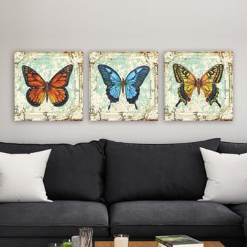 Dekorativ Canvasbilde 3-Deler 30x30 cm - Flerfarget - Interiør - Maleri & posters - Lerretsbilder