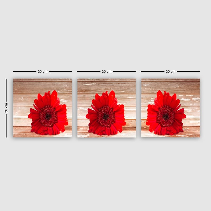 Dekorativ Canvasbilde 3-Deler 30x30 cm - Flerfarget - Interiør - Maleri & posters - Lerretsbilder