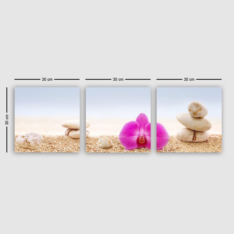 Dekorativ Canvasbilde 3-Deler 30x30 cm - Flerfarget - Interiør - Maleri & posters - Lerretsbilder