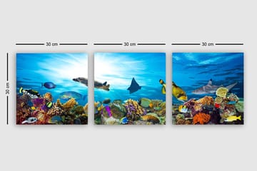 Dekorativ Canvasbilde 3-Deler 30x30 cm - Flerfarget - Interiør - Maleri & posters - Lerretsbilder