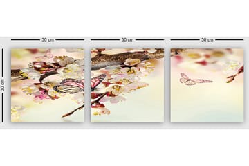 Dekorativ Canvasbilde 3-Deler 30x30 cm - Flerfarget - Interiør - Maleri & posters - Lerretsbilder