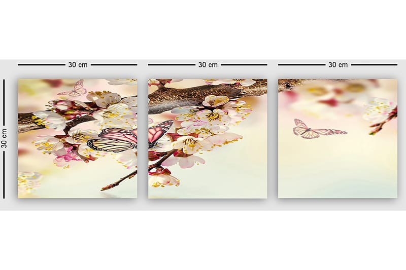 Dekorativ Canvasbilde 3-Deler 30x30 cm - Flerfarget - Interiør - Maleri & posters - Lerretsbilder