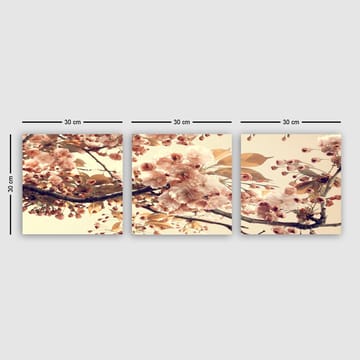 Dekorativ Canvasbilde 3-Deler 30x30 cm - Flerfarget - Interiør - Maleri & posters - Lerretsbilder
