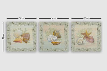 Dekorativ Canvasbilde 3-Deler 30x30 cm - Flerfarget - Interiør - Maleri & posters - Lerretsbilder