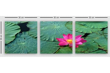 Dekorativ Canvasbilde 3-Deler 30x30 cm - Flerfarget - Interiør - Maleri & posters - Lerretsbilder