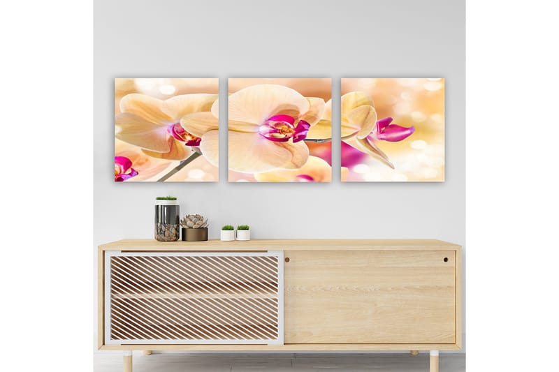 Dekorativ Canvasbilde 3-Deler 30x30 cm, Flerfarget