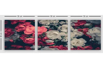 Dekorativ Canvasbilde 3-Deler 30x30 cm - Flerfarget - Interiør - Maleri & posters - Lerretsbilder