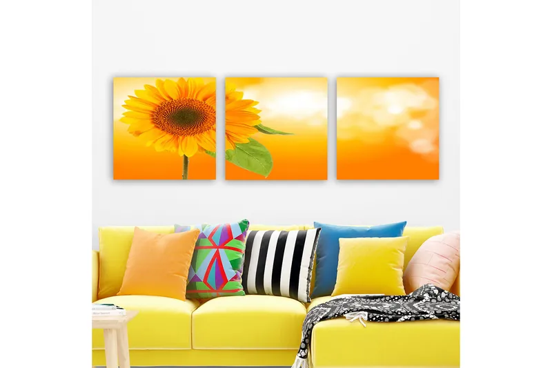 Dekorativ Canvasbilde 3-Deler 30x30 cm, Flerfarget