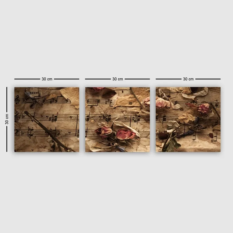 Dekorativ Canvasbilde 3-Deler 30x30 cm, Flerfarget