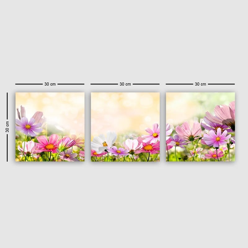 Dekorativ Canvasbilde 3-Deler 30x30 cm, Flerfarget