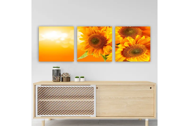 Dekorativ Canvasbilde 3-Deler 30x30 cm, Flerfarget