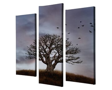 Dekorativ Canvasbilde 3-Deler 45x20 cm - Flerfarget - Interiør - Maleri & posters - Lerretsbilder